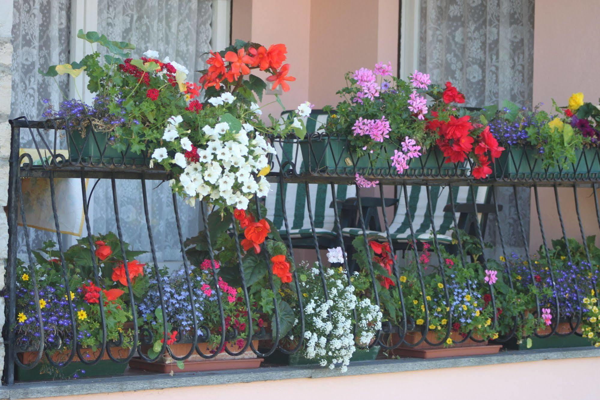 Bed and Breakfast Balcone Fiorito Менаджо Экстерьер фото